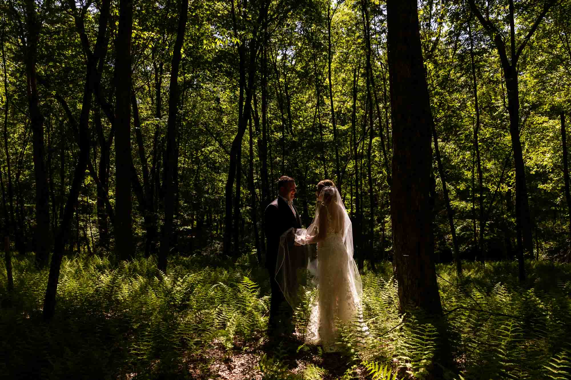 bride and groom standing in a field of ferns in the woods, surrounded by beautiful light, at the all in one wedding venue at pinehall at eisler farms